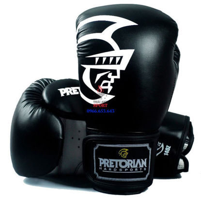 Ảnh của Găng Boxing Hiệu Pretorian