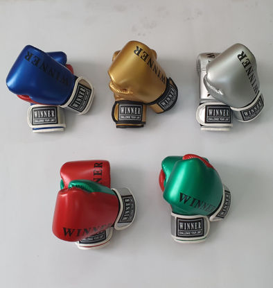 Ảnh của Găng Boxing Hiệu Winner Da Bóng (Có Túi Vải)